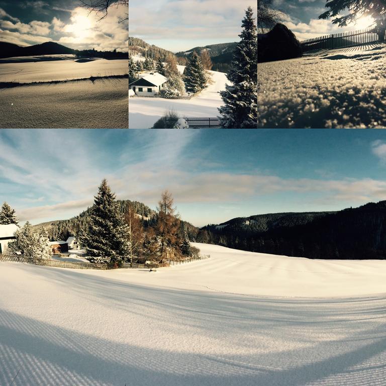 Ferienwohnungen Gehlberg Bagian luar foto